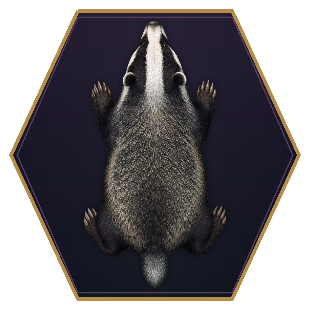Badger top-down flat-top hex token