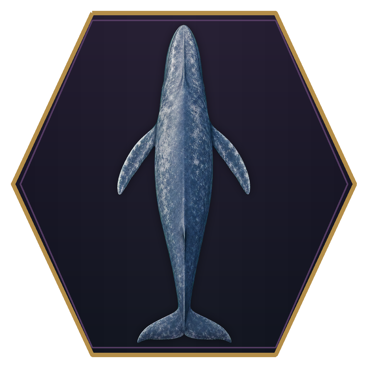 Baleen Whale top-down flat-top hex token