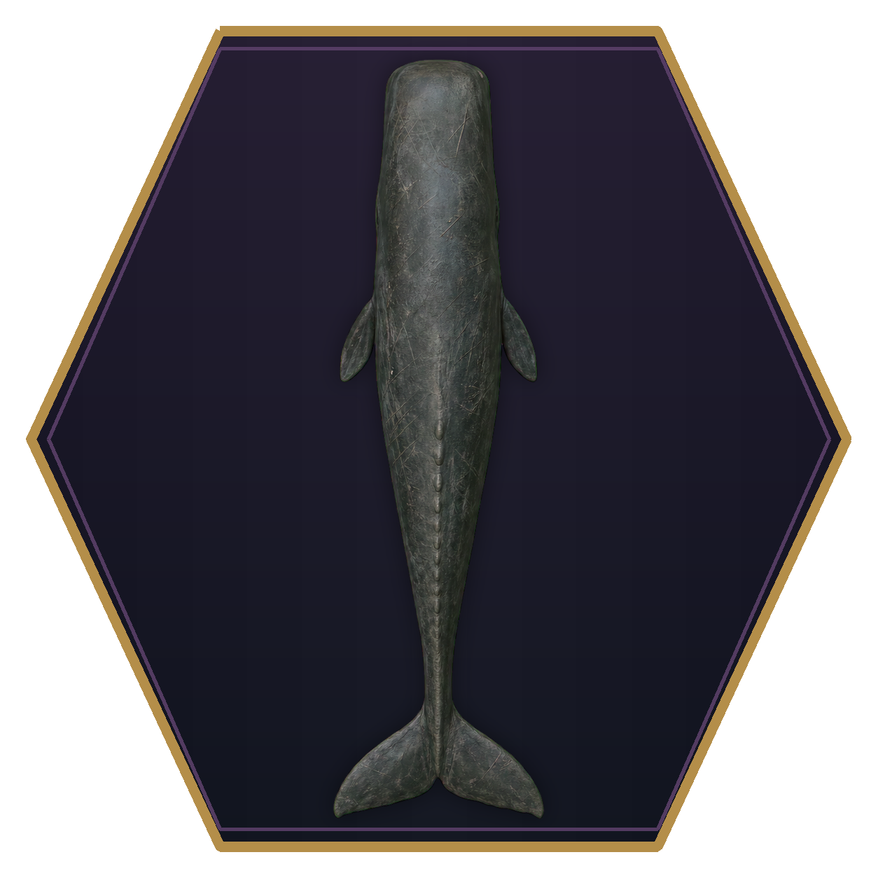 Cachalot Whale top-down flat-top hex token