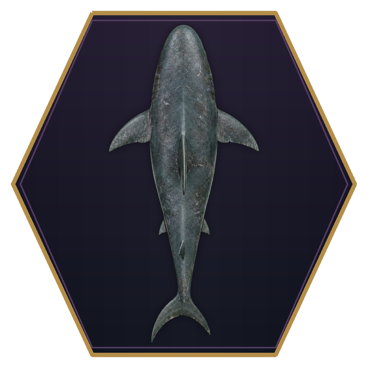 Dire Shark top-down flat-top hex token