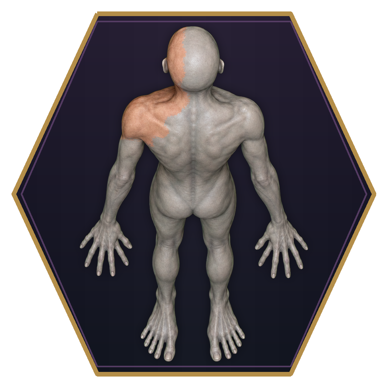 Doppelganger top-down flat-top hex token