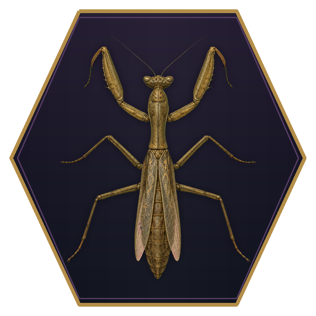 Giant Praying Mantis top-down flat-top hex token