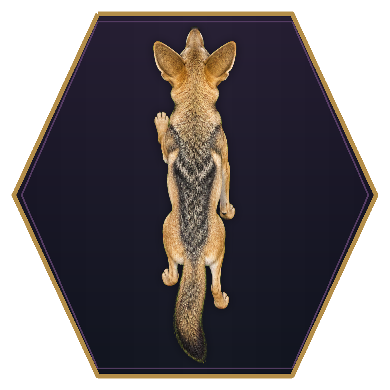 Jackal top-down flat-top hex token
