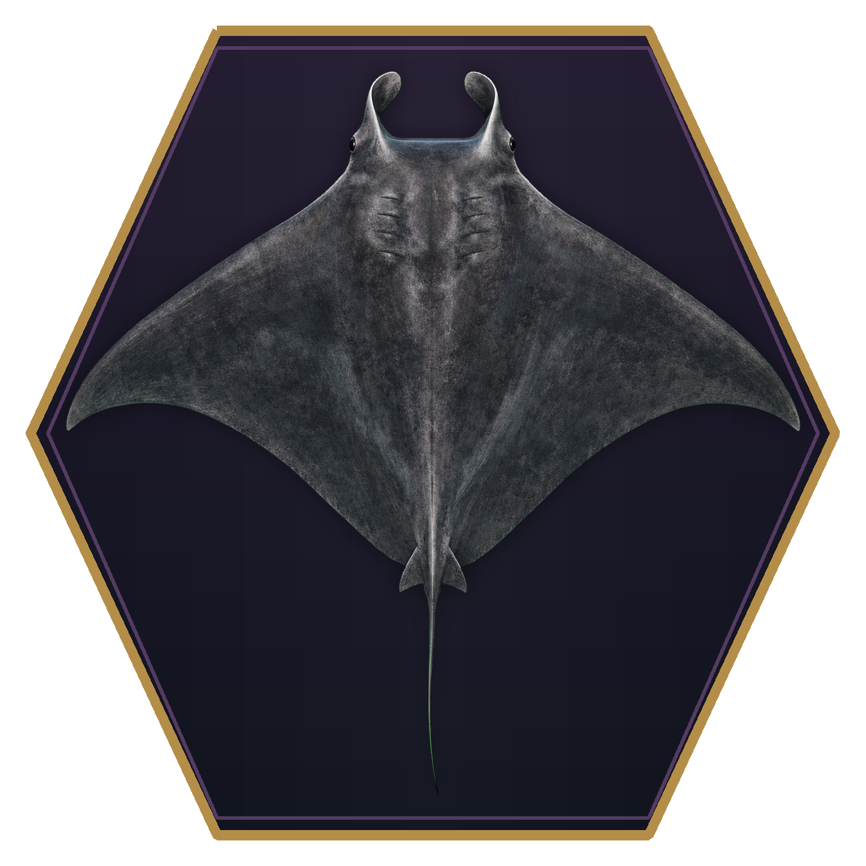 Manta Ray top-down flat-top hex token