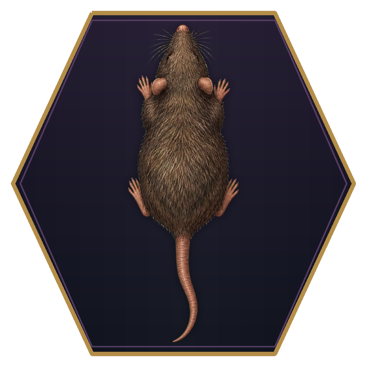 Rat top-down flat-top hex token
