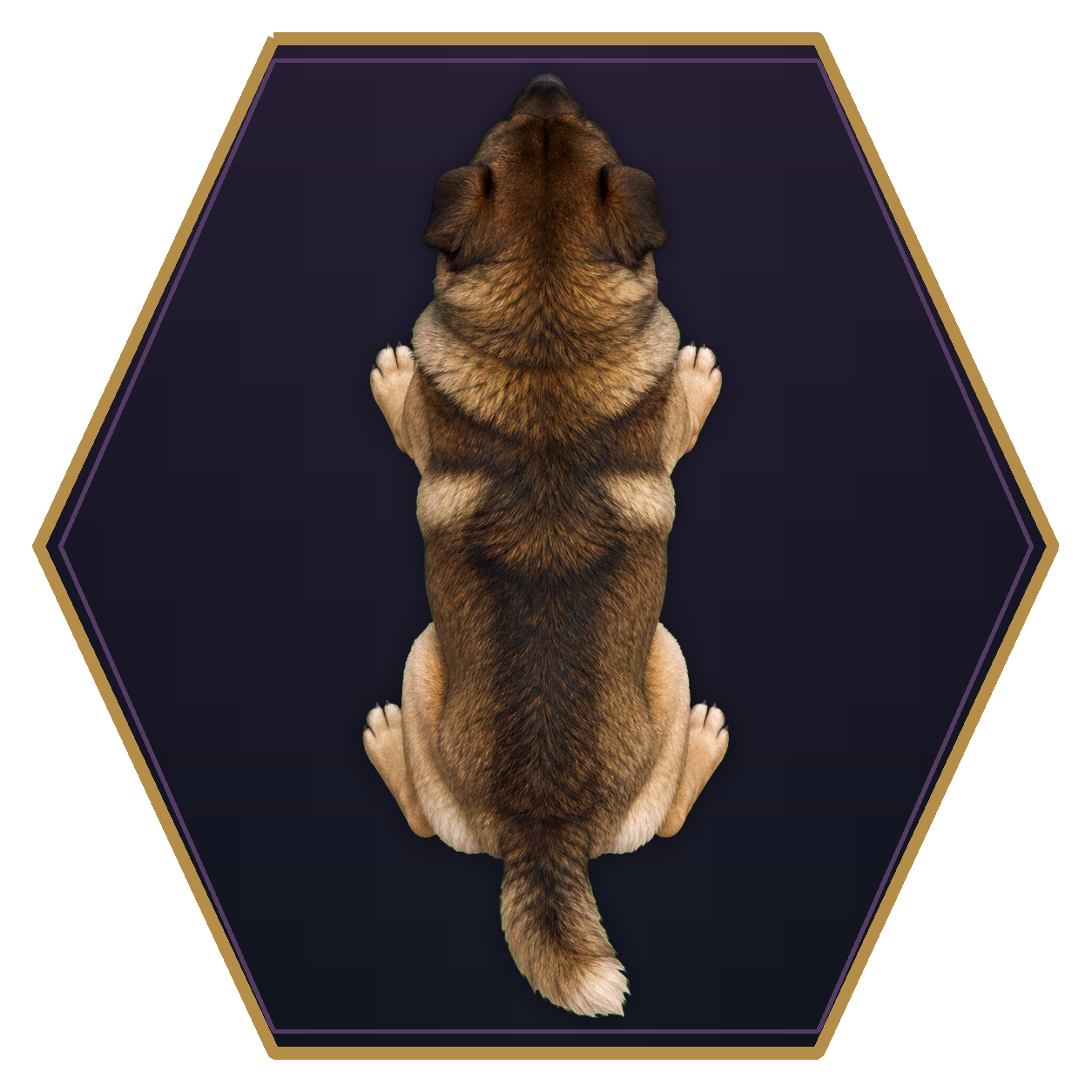 Riding Dog top-down flat-top hex token
