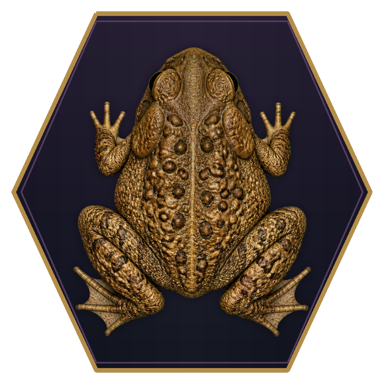 Toad top-down flat-top hex token