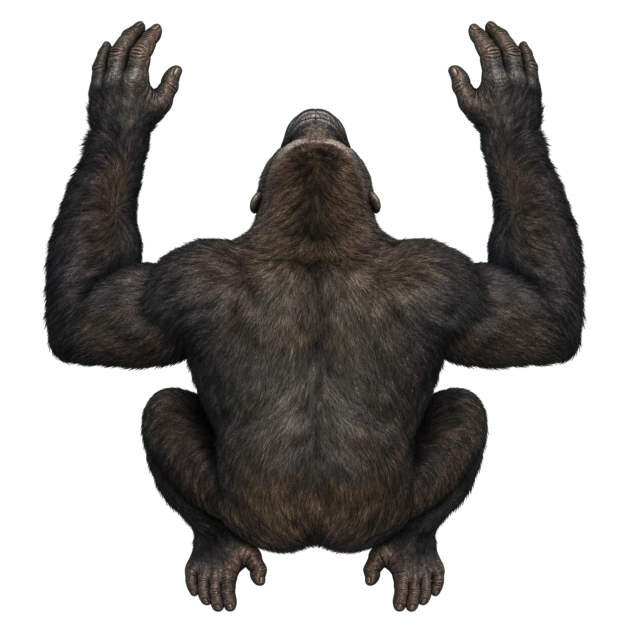 Ape top-down encounter token