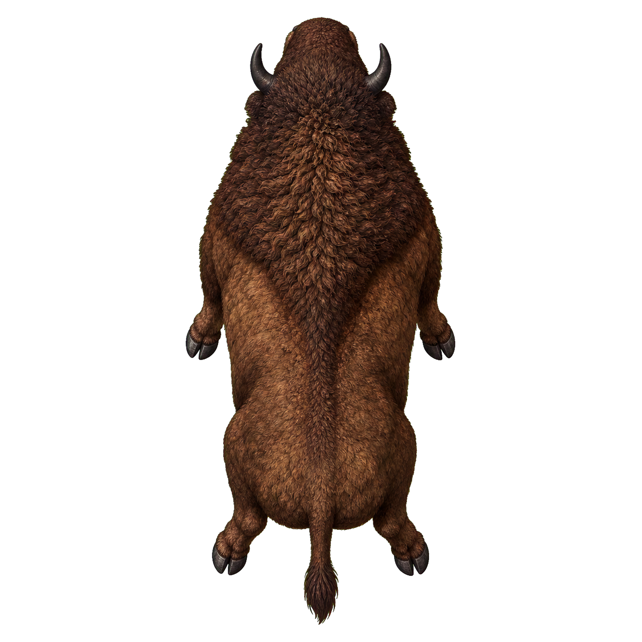 Bison top-down encounter token