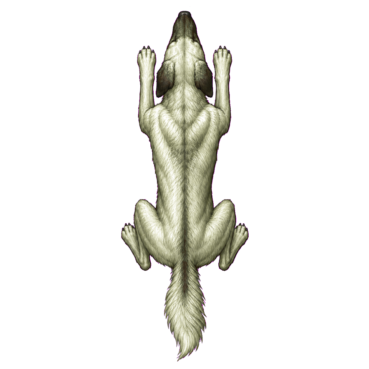 Blink Dog top-down encounter token