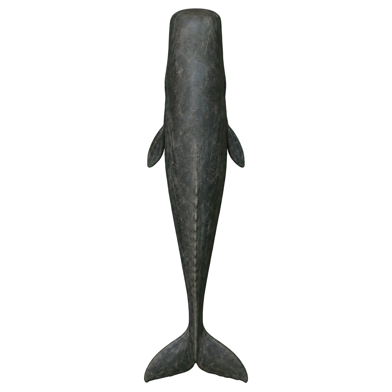 Cachalot Whale top-down encounter token