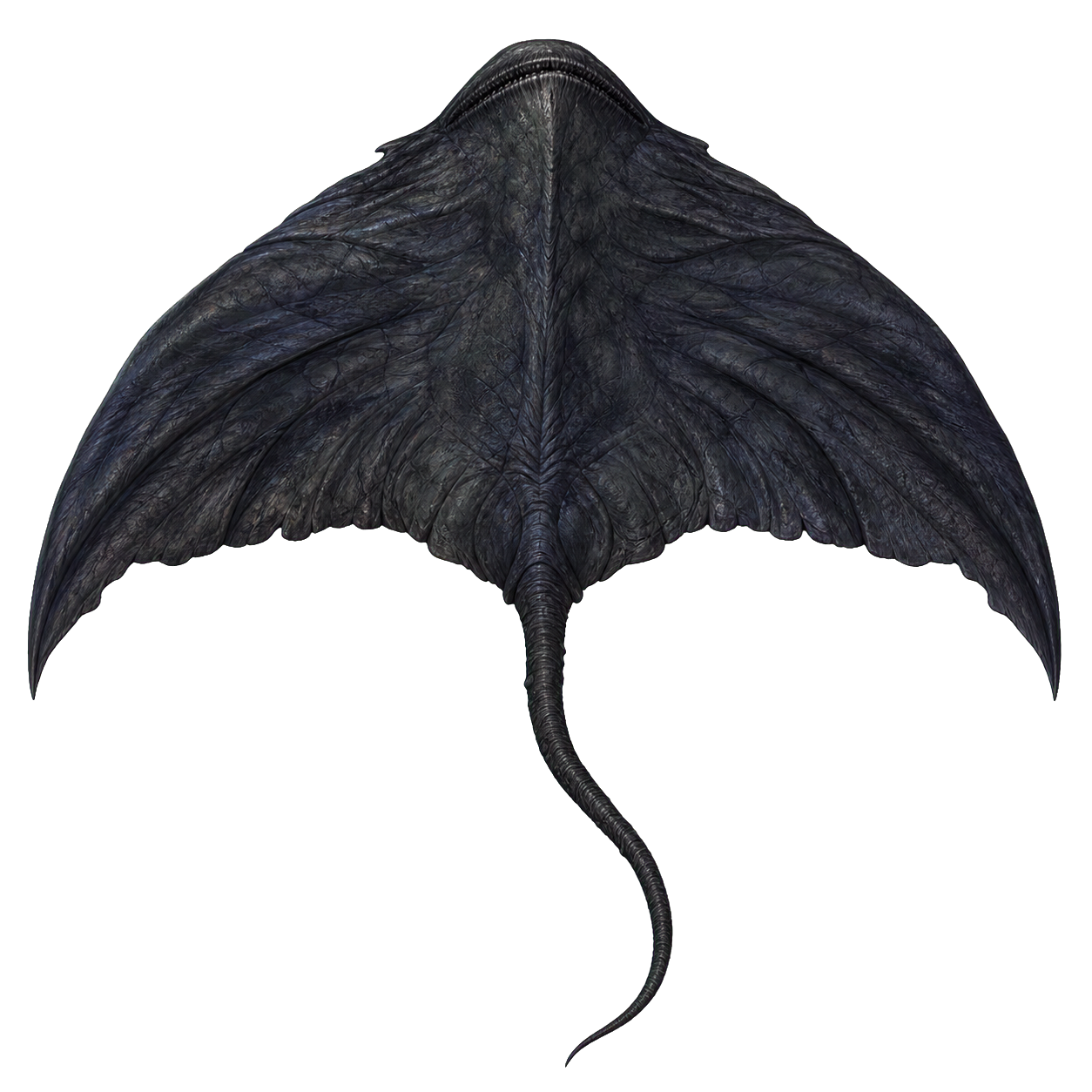 Cloaker top-down encounter token