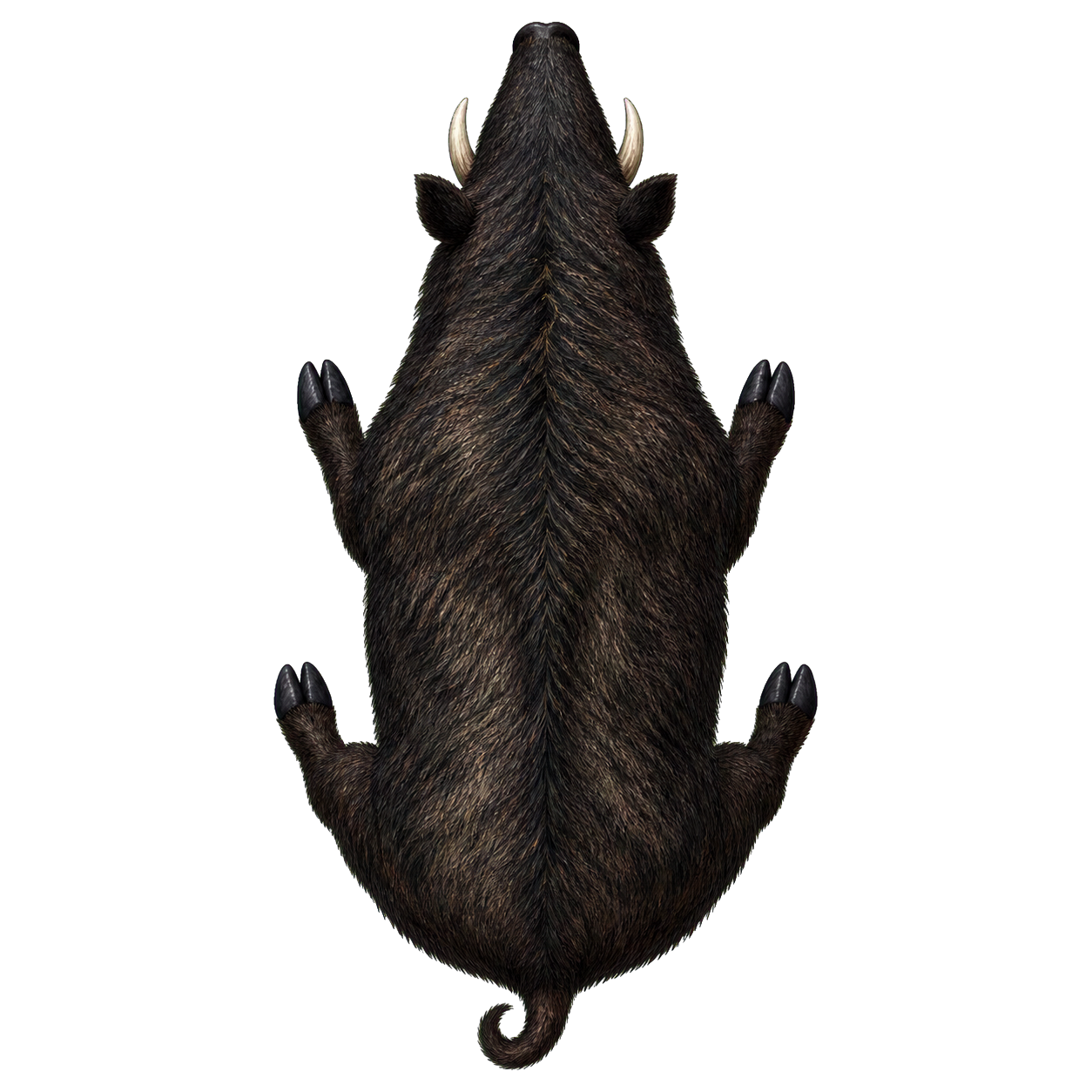 Dire Boar top-down encounter token
