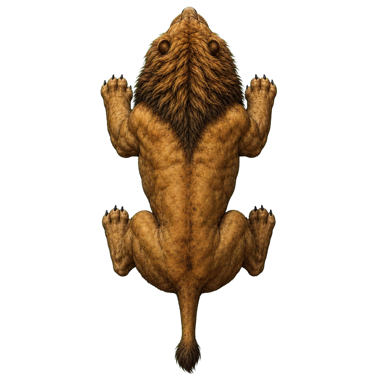 Dire Lion top-down encounter token