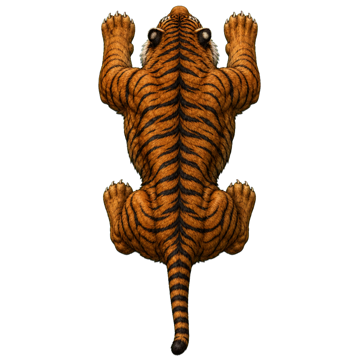 Dire Tiger top-down encounter token