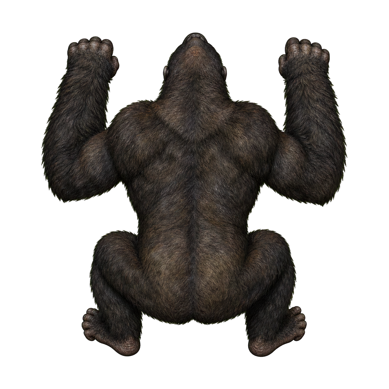 Giant Ape top-down encounter token