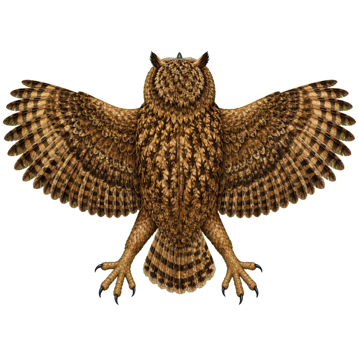 Giant Owl top-down encounter token
