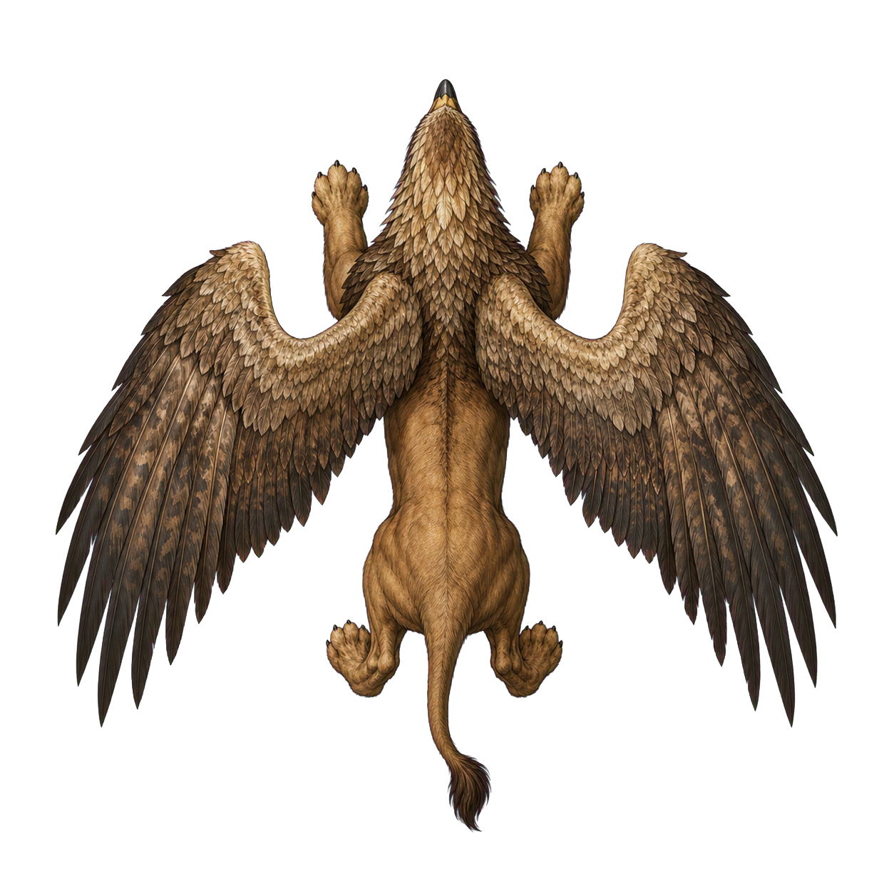 Hieracosphinx top-down encounter token