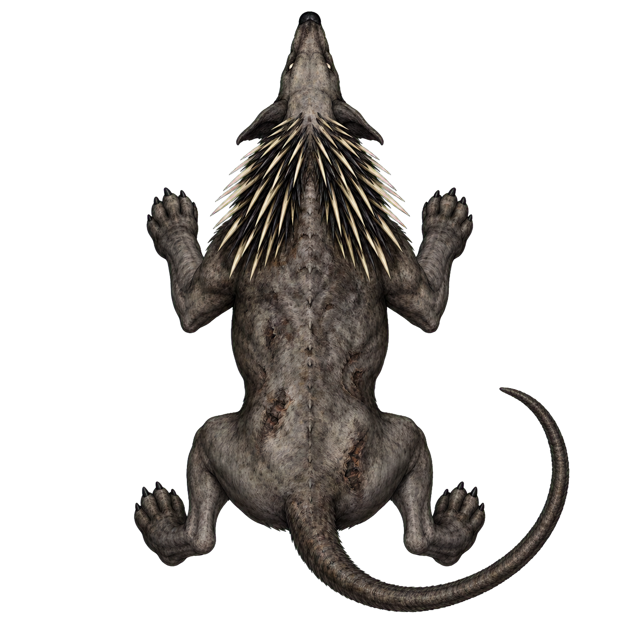 Howler top-down encounter token