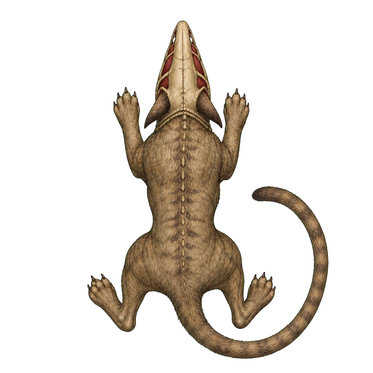 Krenshar top-down encounter token