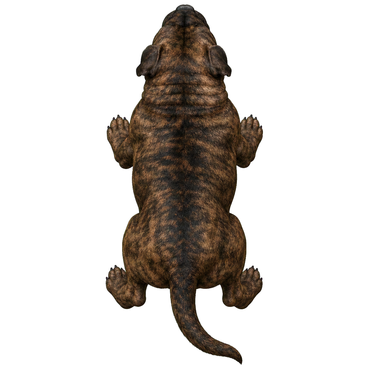 Mastiff top-down encounter token