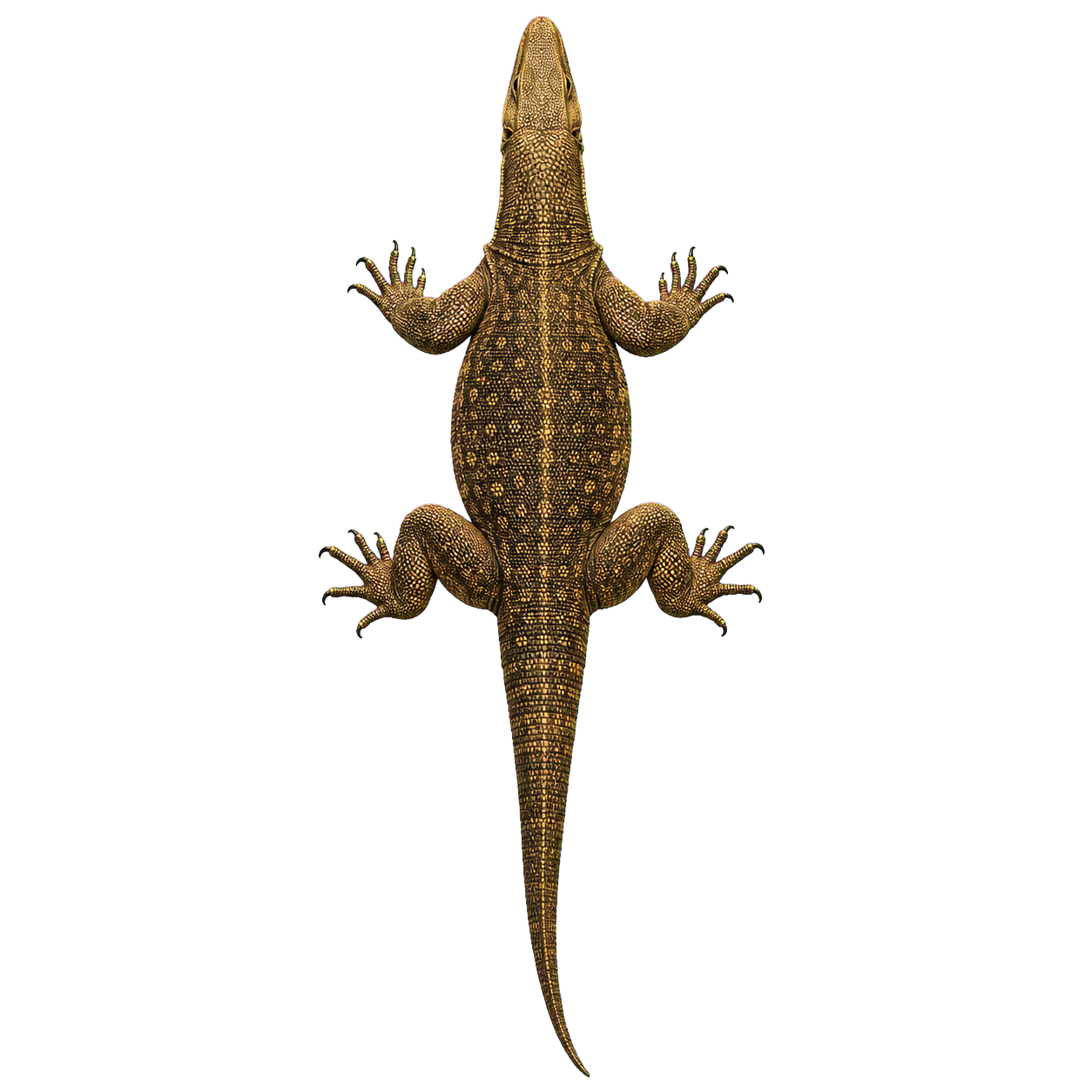 Monitor Lizard top-down encounter token