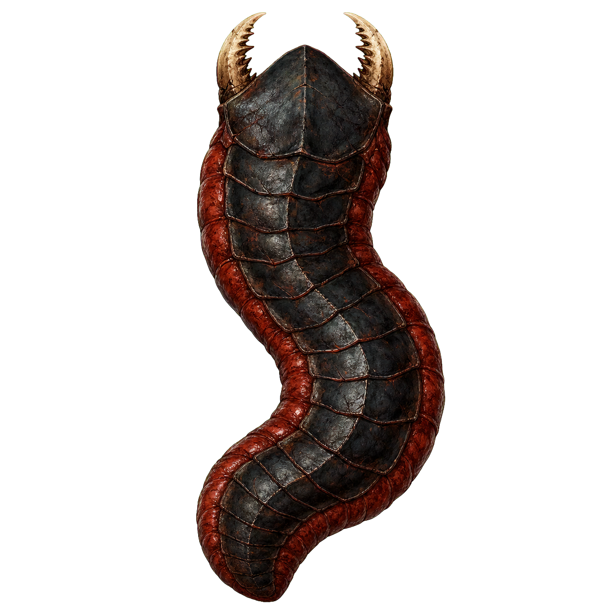 Monstrous Centipede (Large) top-down encounter token