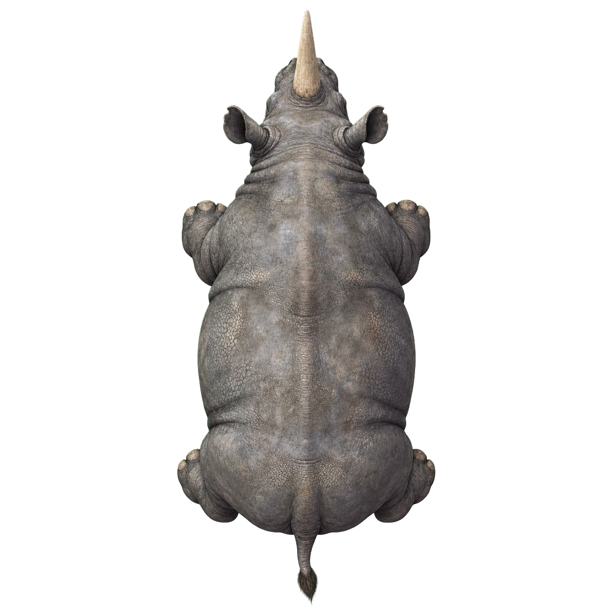 Rhinoceros top-down encounter token