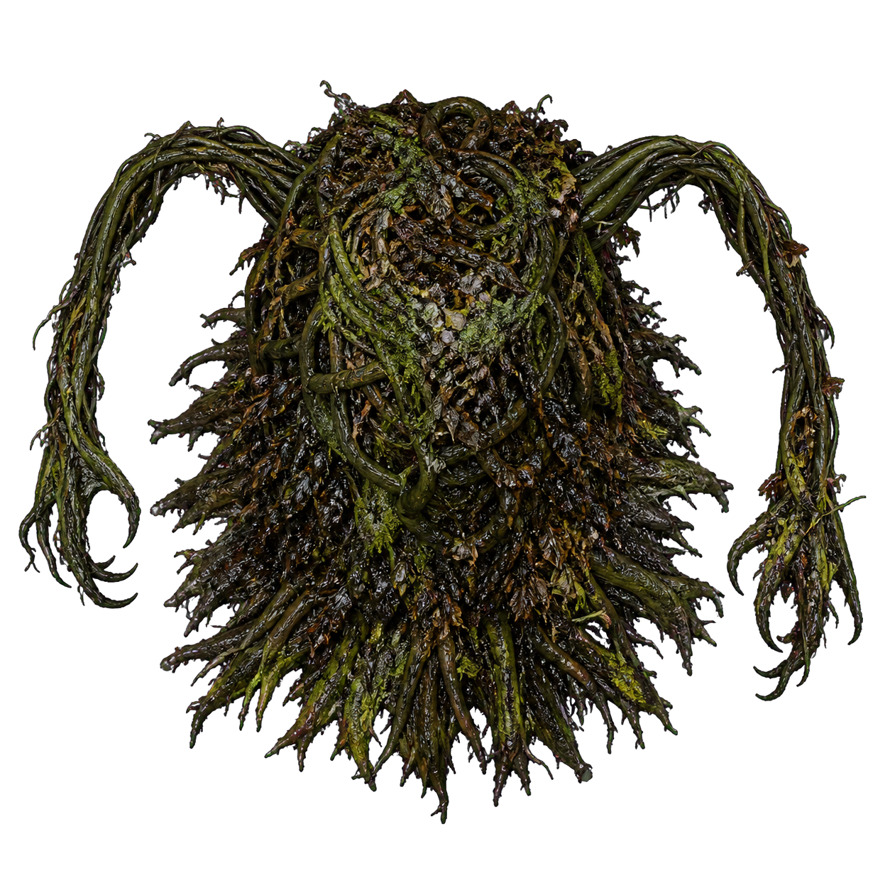 Shambling Mound top-down encounter token