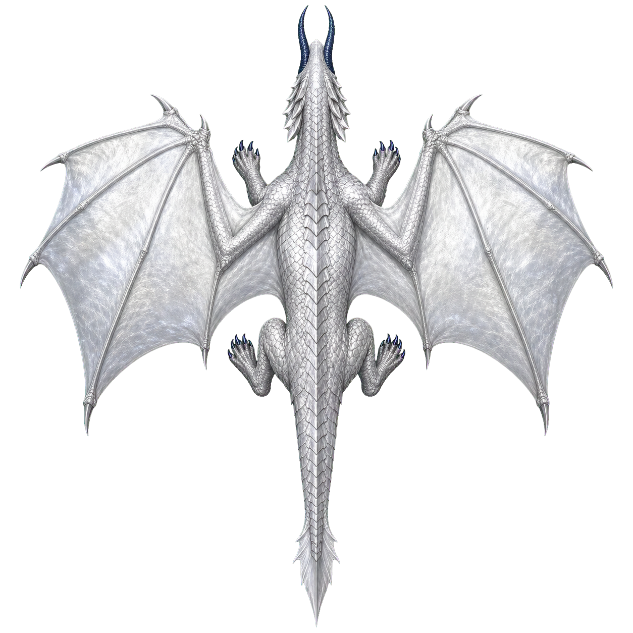 Silver Dragon top-down encounter token