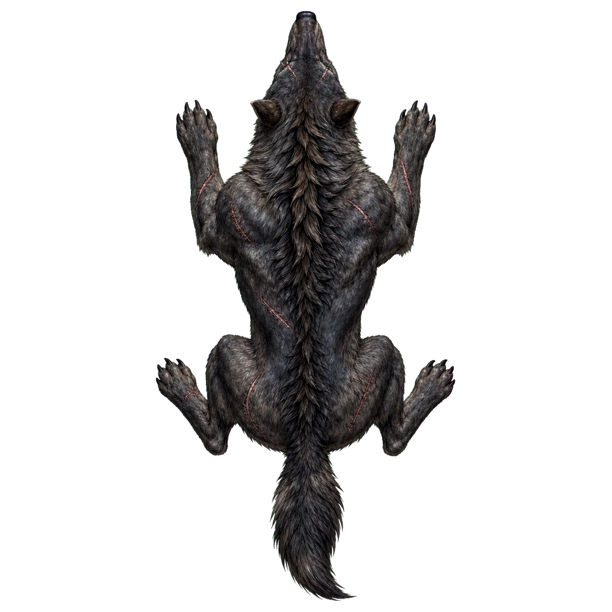 Worg top-down encounter token