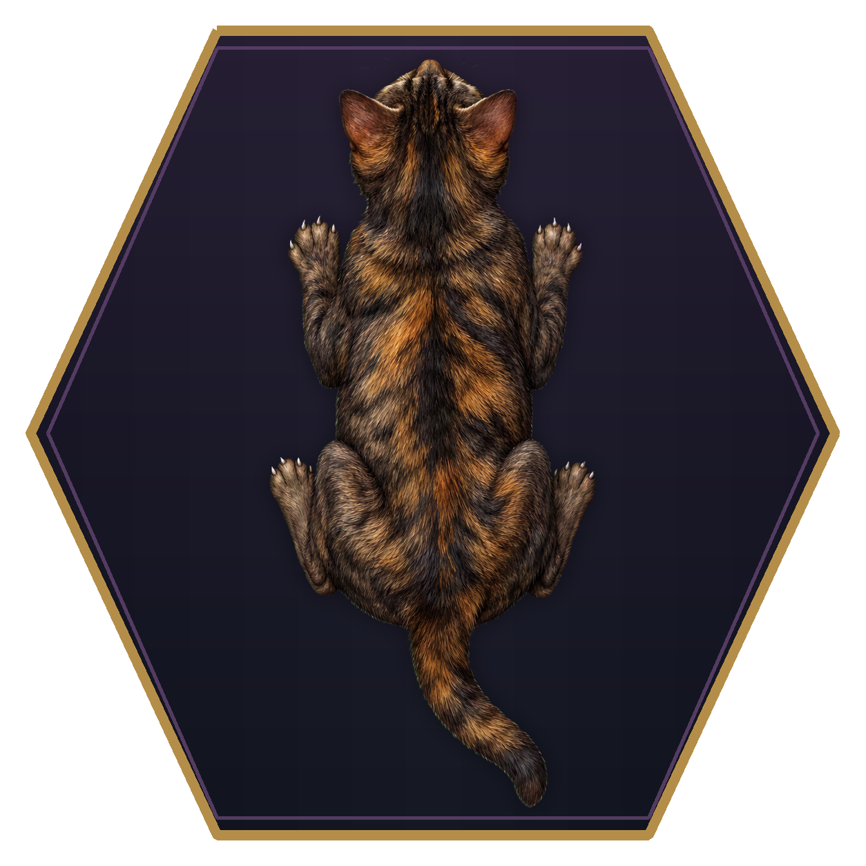Cat top-down flat-top hex token