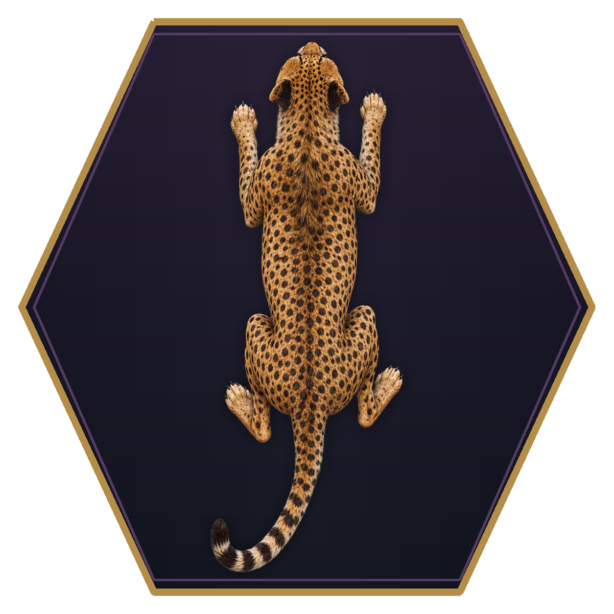 Cheetah top-down flat-top hex token
