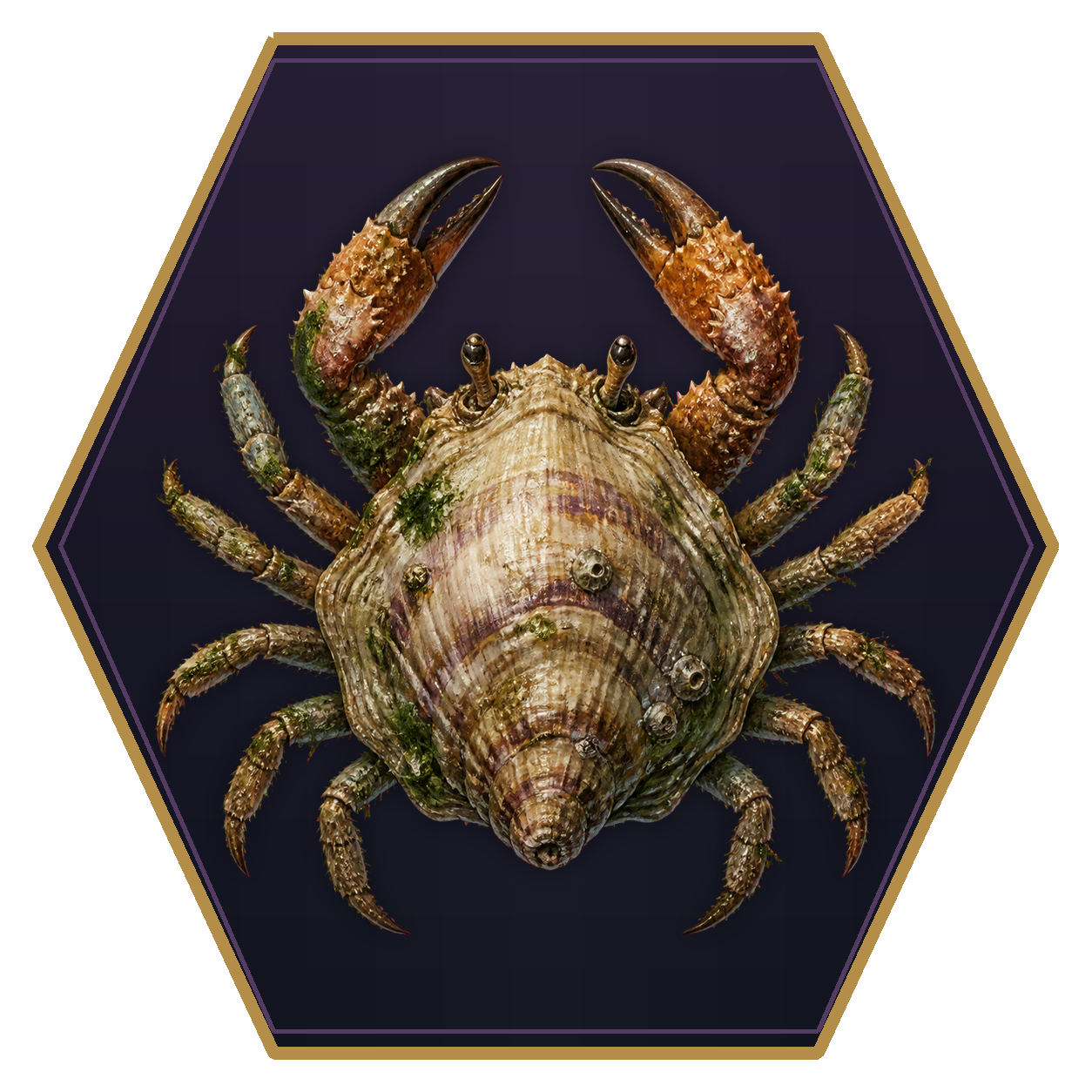 Crab top-down flat-top hex token