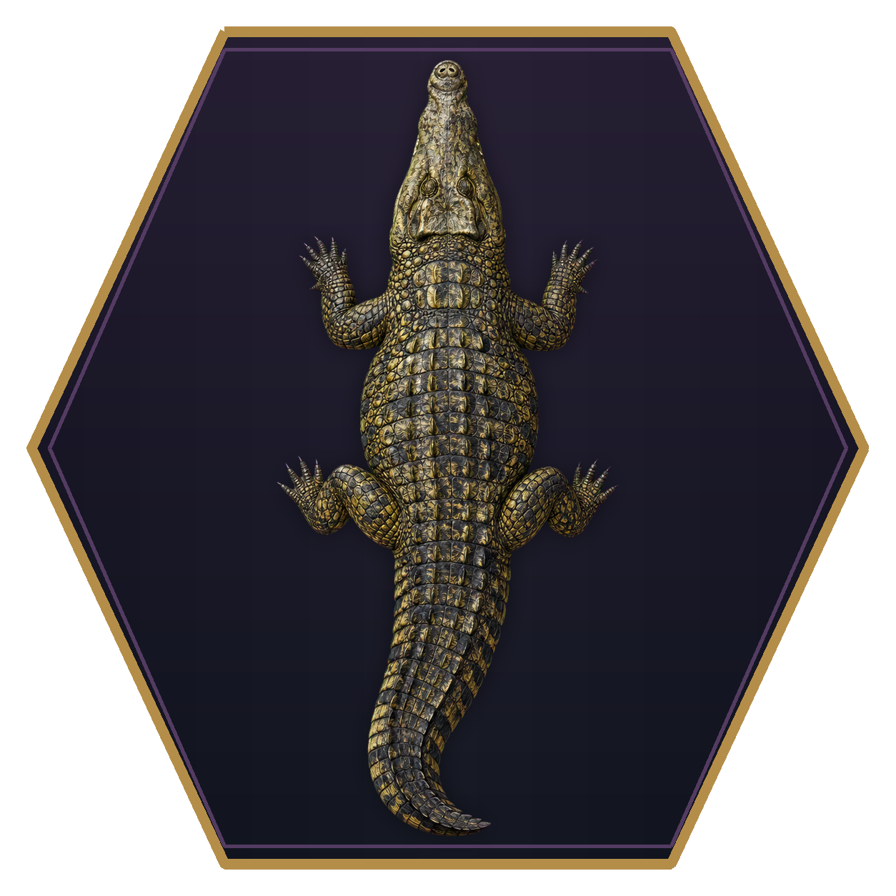 Crocodile top-down flat-top hex token