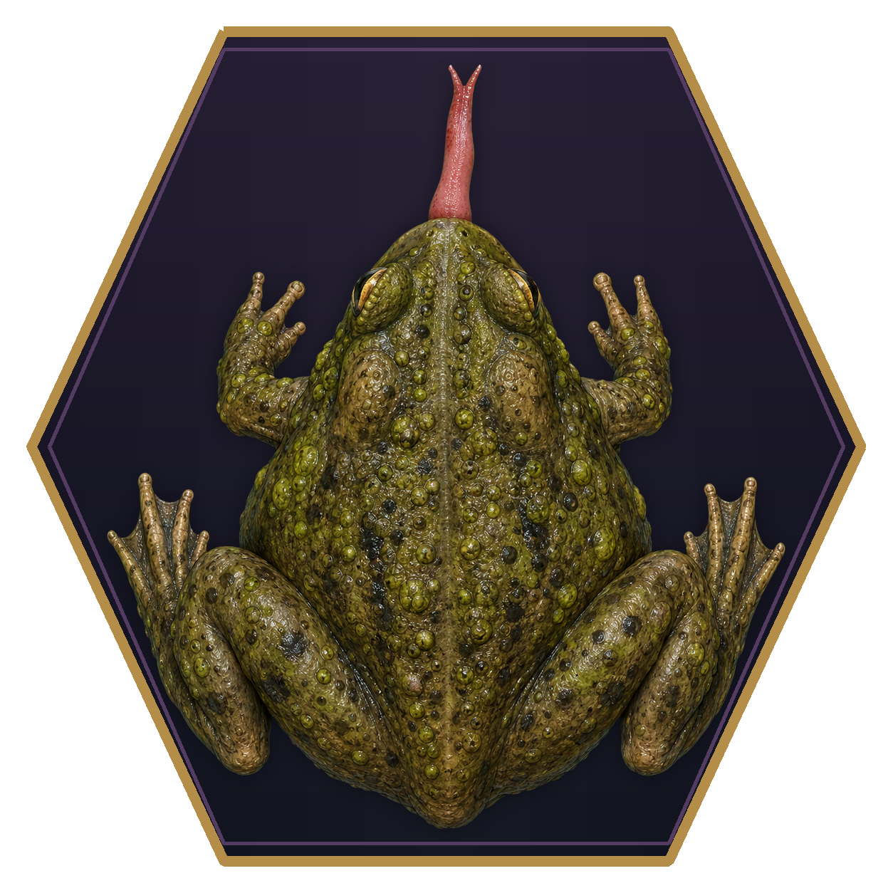 Giant Toad top-down flat-top hex token