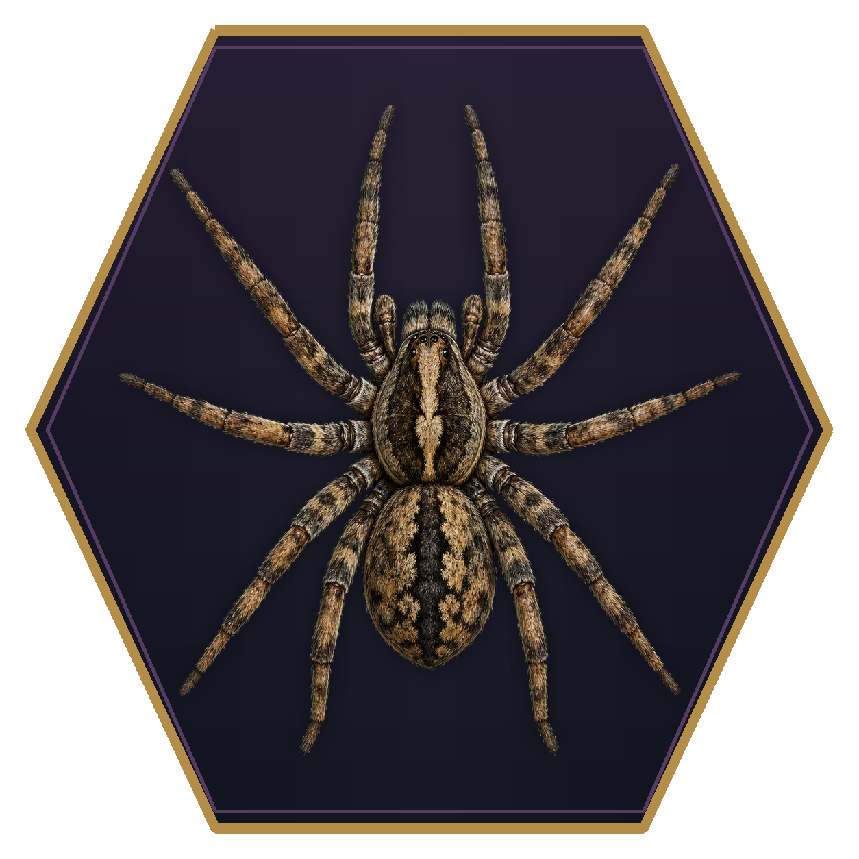 Giant Wolf Spider top-down flat-top hex token