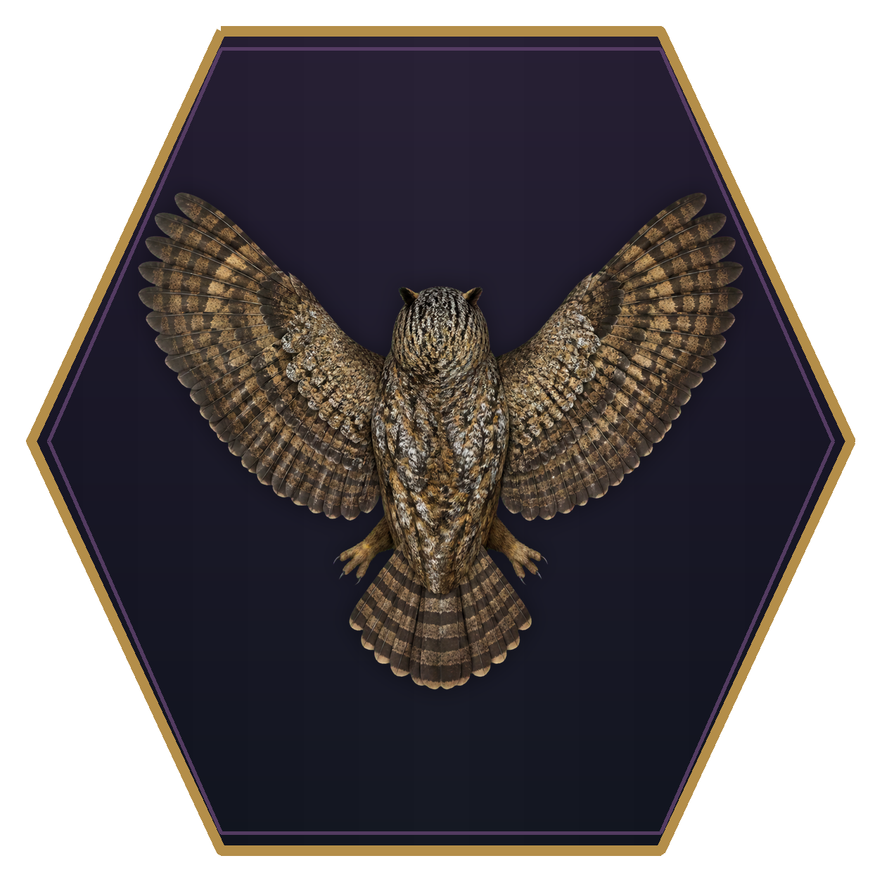 Owl top-down flat-top hex token