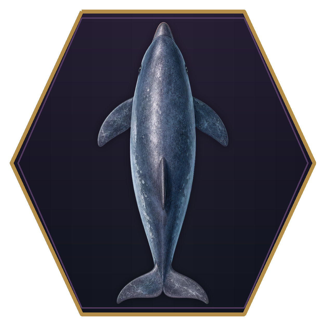 Porpoise top-down flat-top hex token