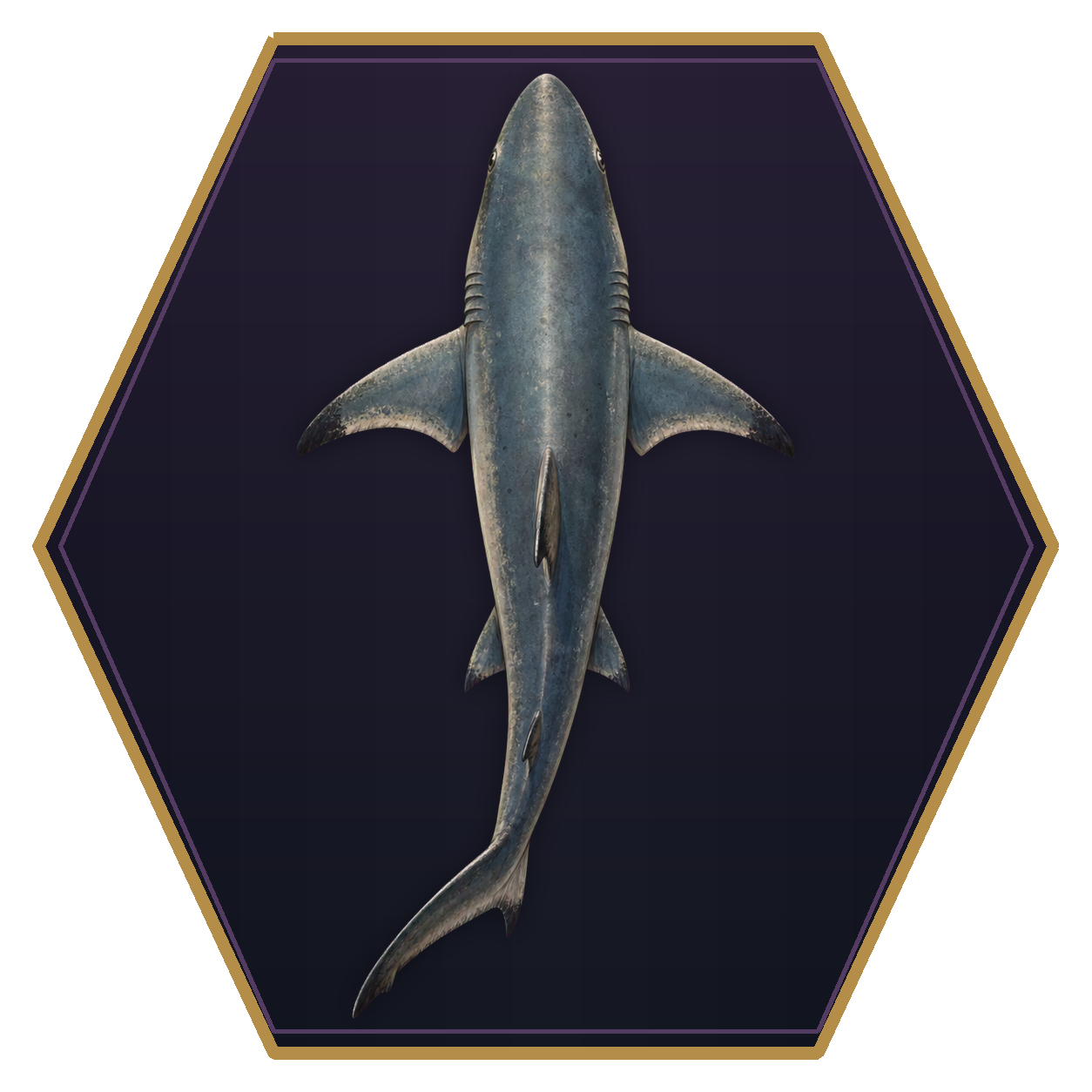 Reef Shark top-down flat-top hex token