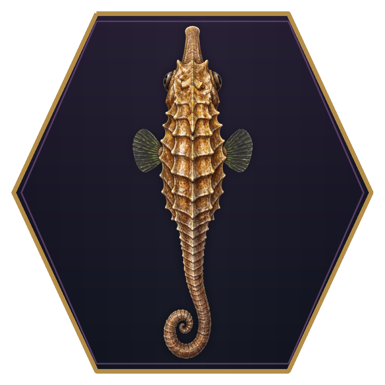 Sea Horse top-down flat-top hex token