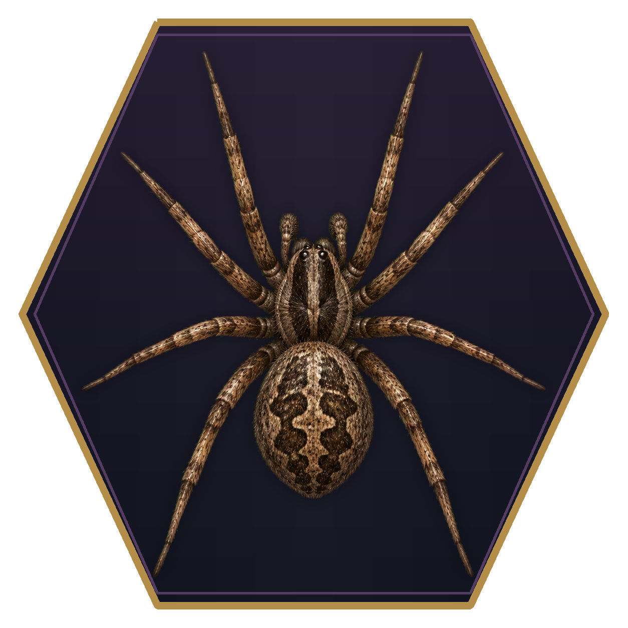 Spider top-down flat-top hex token