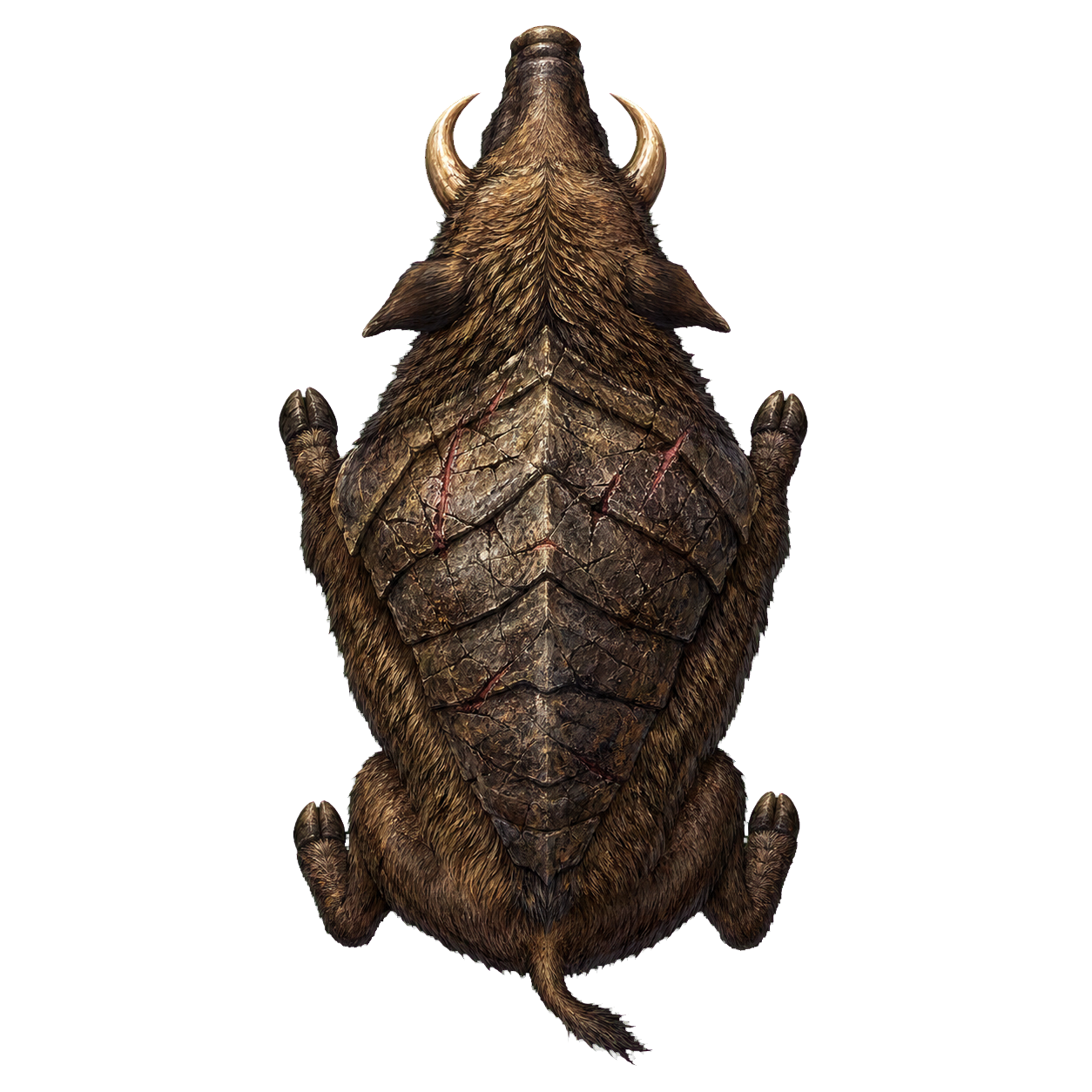 Boar top-down encounter token