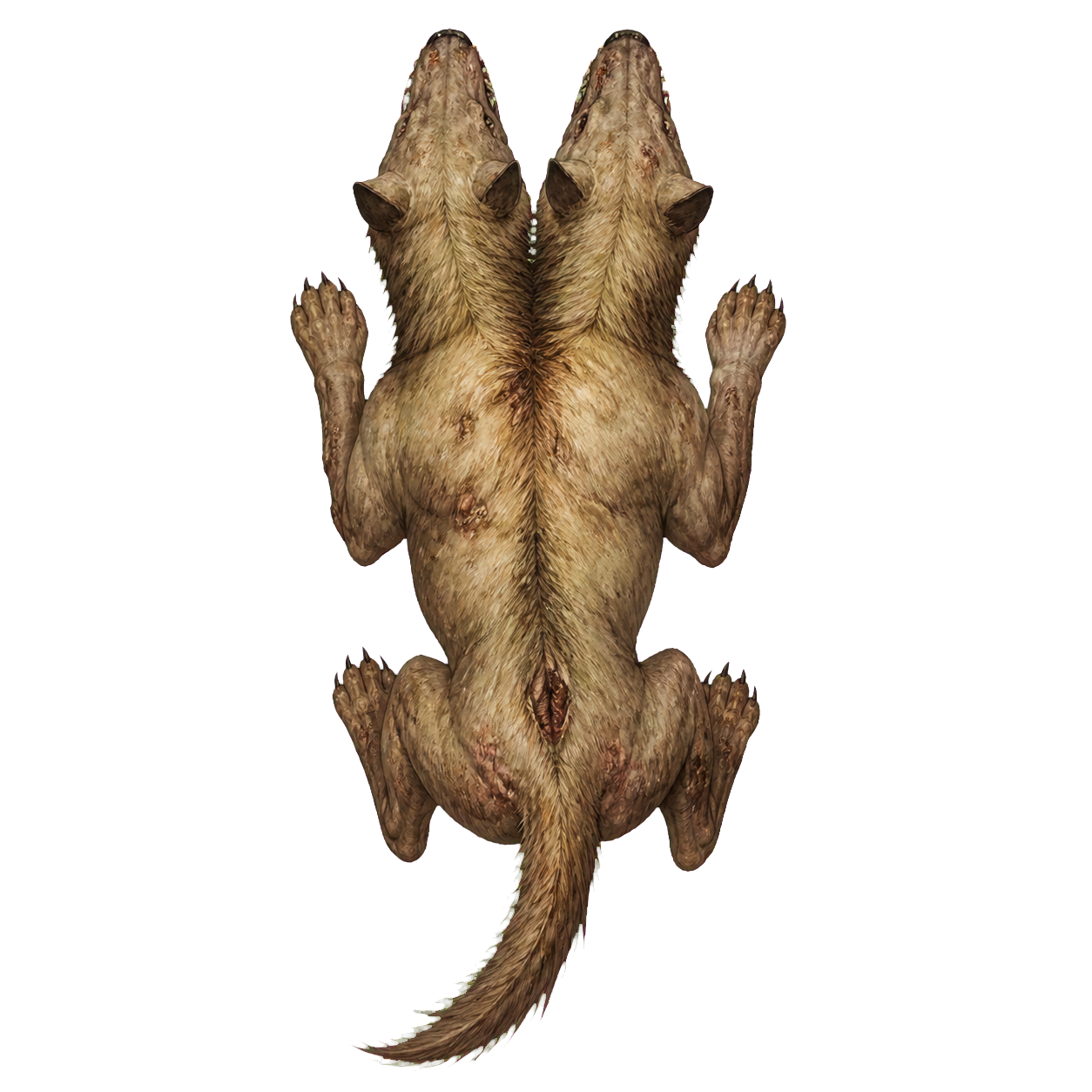 Death Dog top-down encounter token