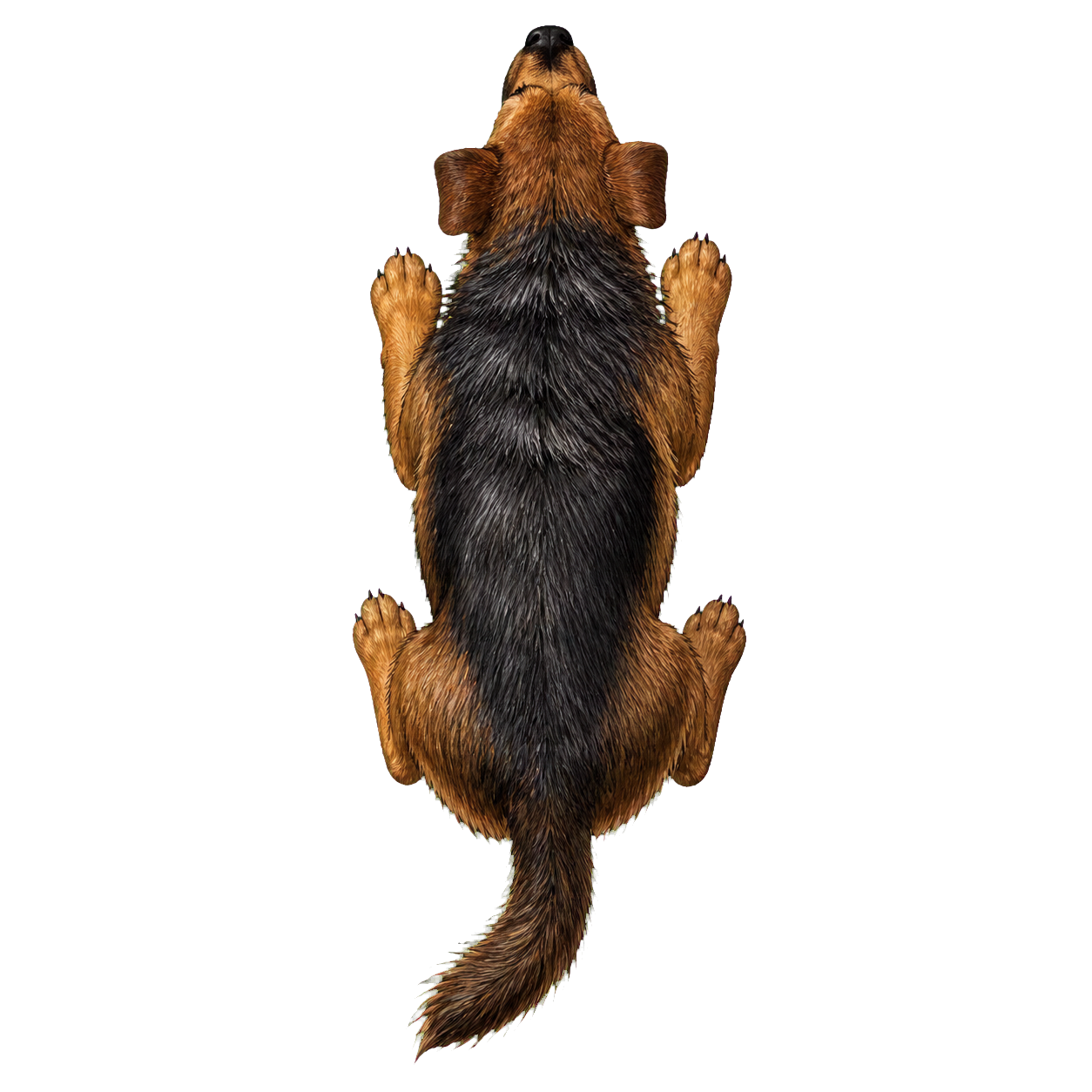 Dog top-down encounter token