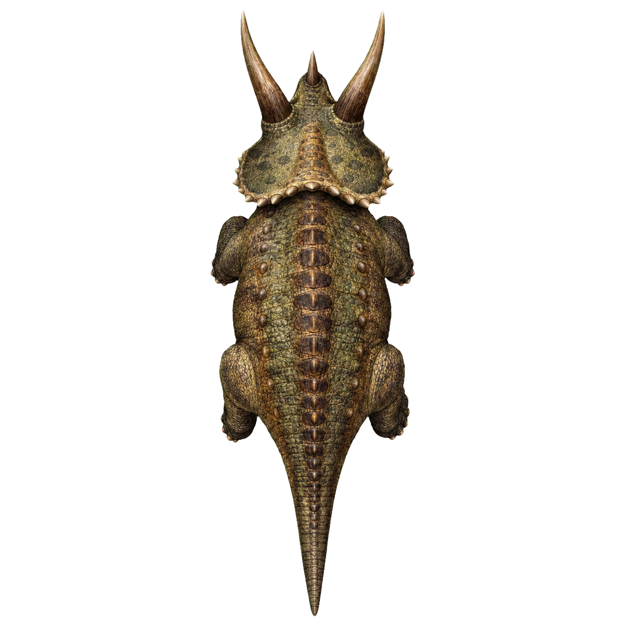Elasmosaurus top-down encounter token