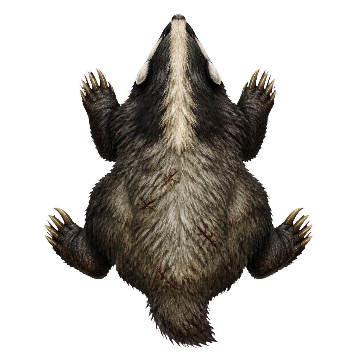Giant Badger top-down encounter token