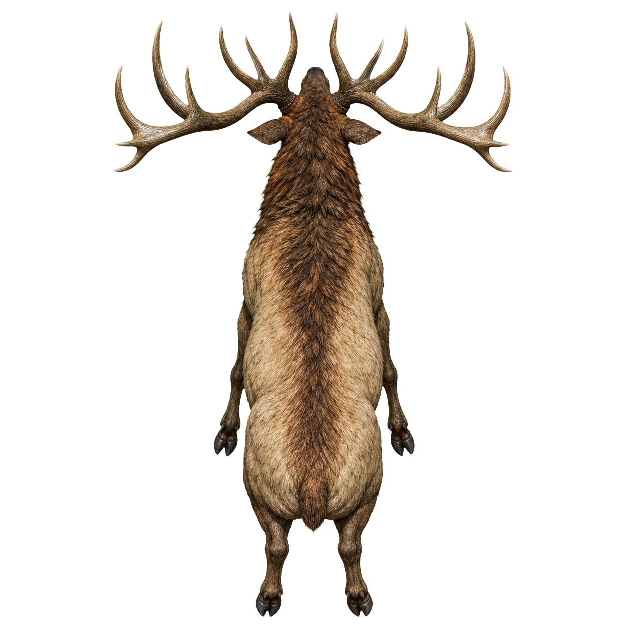 Giant Elk top-down encounter token