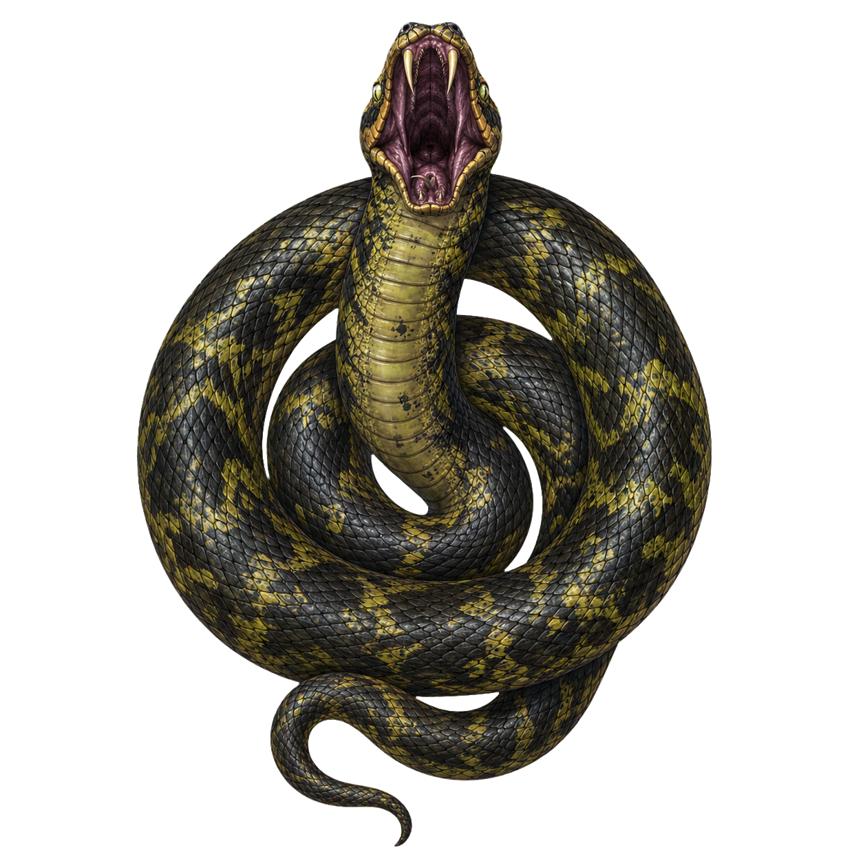 Giant Poisonous Snake top-down encounter token