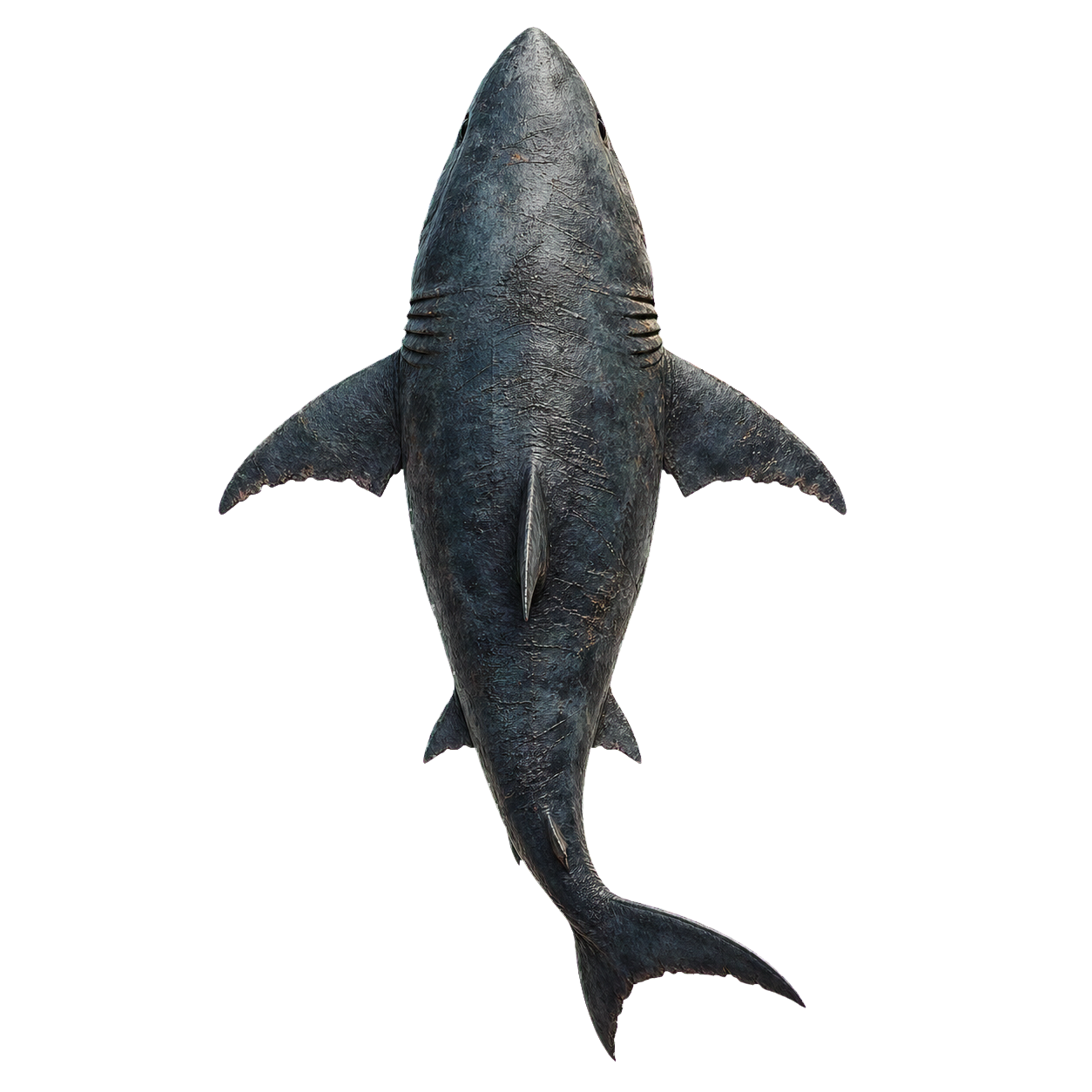 Giant Shark top-down encounter token